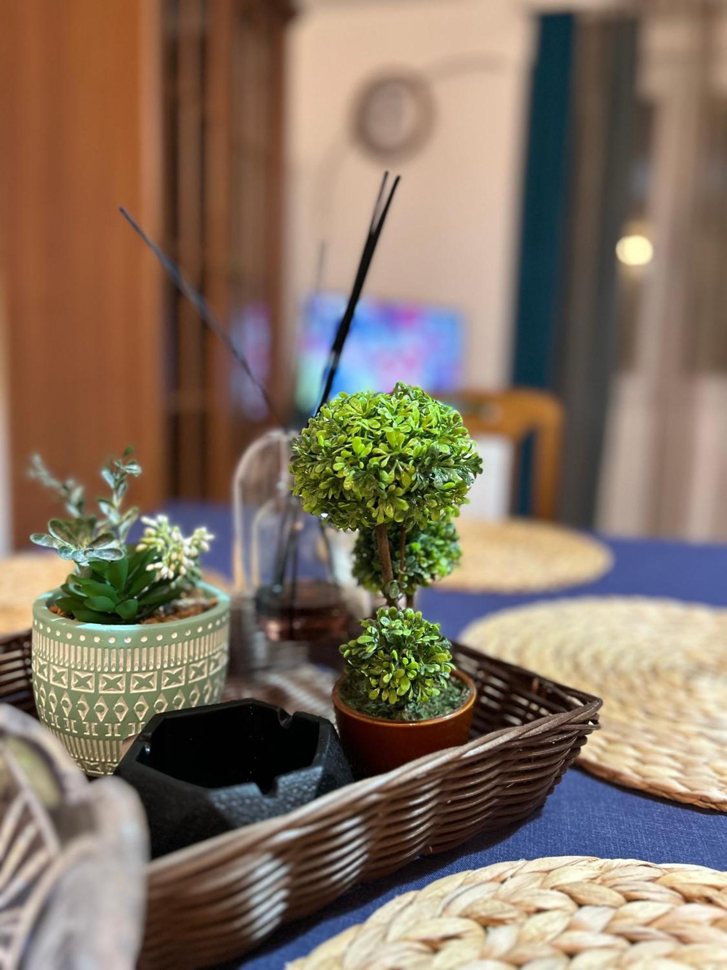 Blue Shell Appartement Kotor