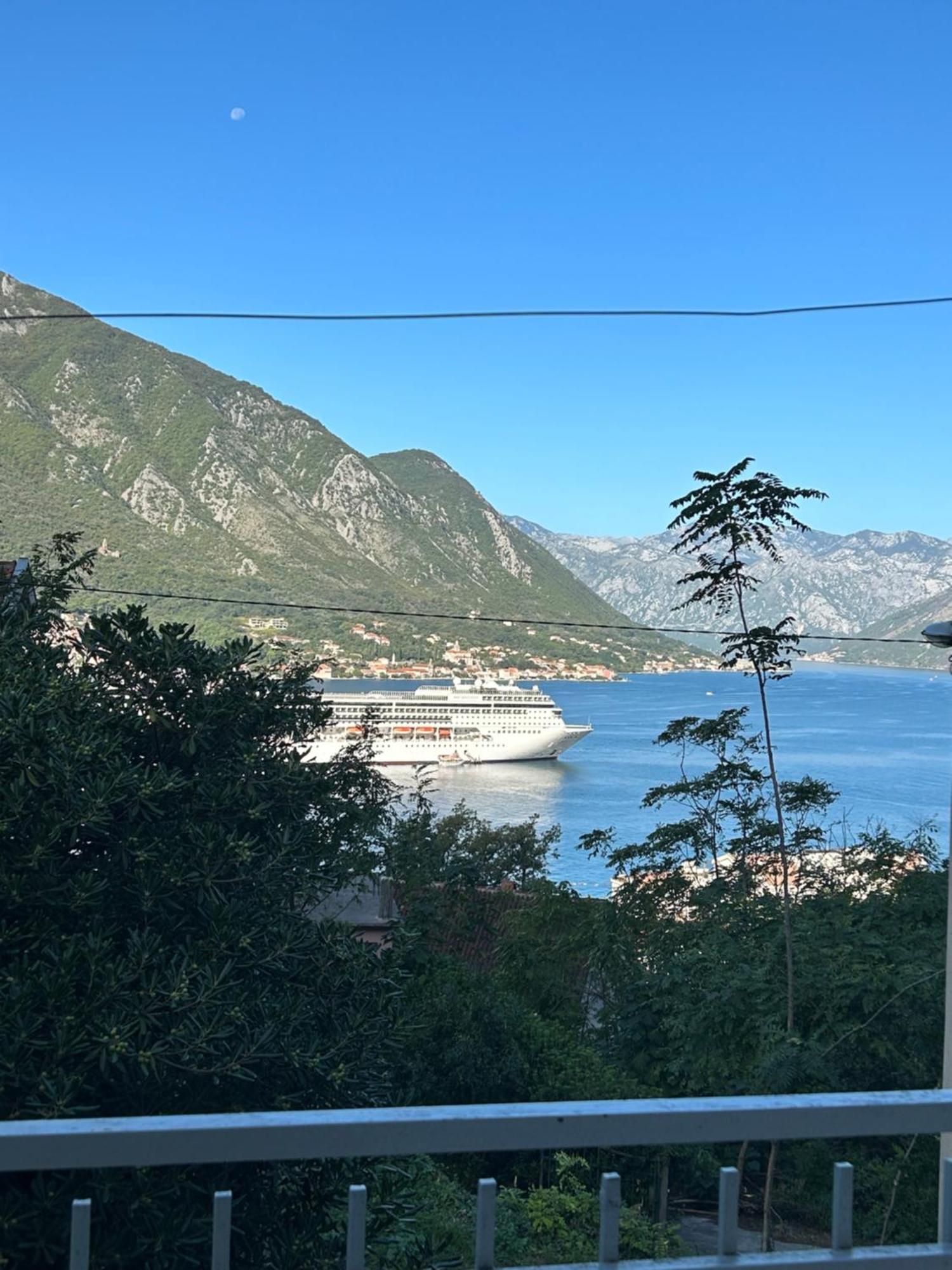 Blue Shell Kotor